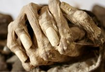 El misterio de las momias de Pinto