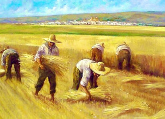 Tragedia en la siega de Pinto