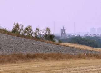 Pinto en primera línea de los incendios de Ávila, Madrid y Toledo