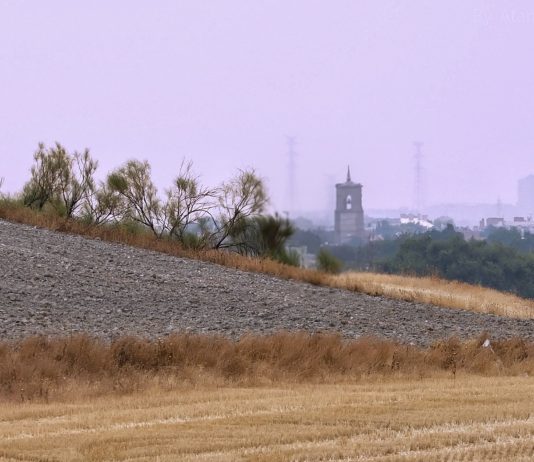 Pinto en primera línea de los incendios de Ávila, Madrid y Toledo