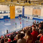 balonmano pinto